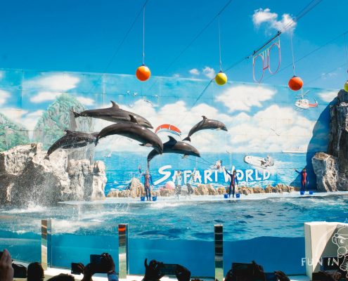 賽福瑞野生動物園